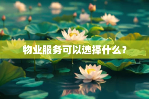物业服务可以选择什么？