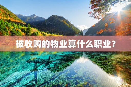 被收购的物业算什么职业？