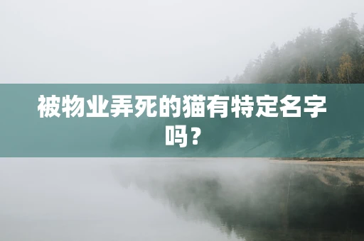 被物业弄死的猫有特定名字吗？