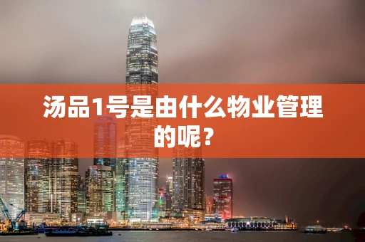 汤品1号是由什么物业管理的呢？