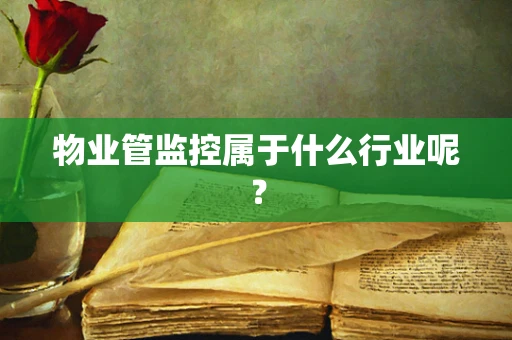 物业管监控属于什么行业呢？