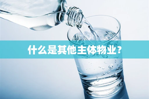 什么是其他主体物业？