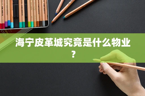 海宁皮革城究竟是什么物业？