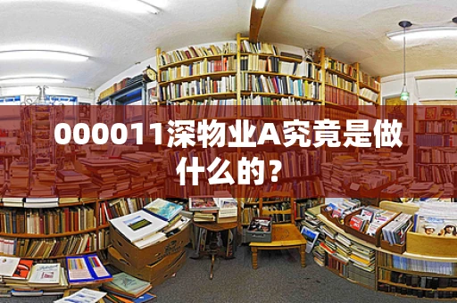 000011深物业A究竟是做什么的？