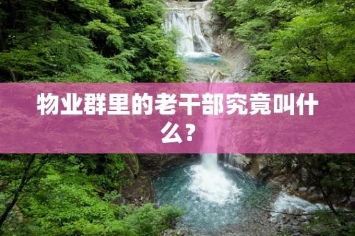 物业群里的老干部究竟叫什么？