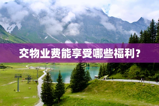 交物业费能享受哪些福利？