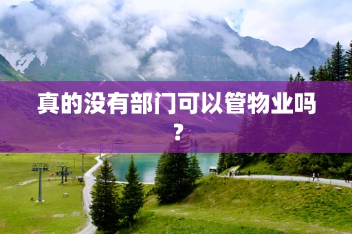 真的没有部门可以管物业吗？