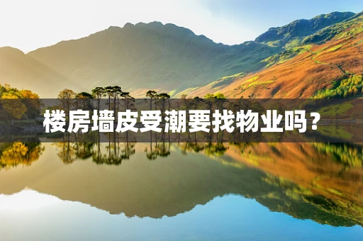 楼房墙皮受潮要找物业吗？
