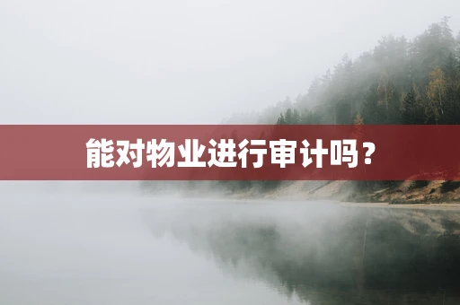 能对物业进行审计吗？