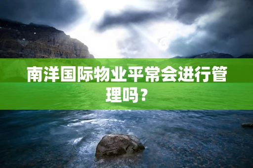 南洋国际物业平常会进行管理吗？