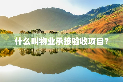 什么叫物业承接验收项目？