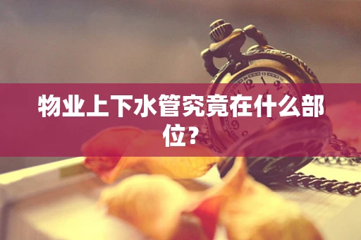 物业上下水管究竟在什么部位？