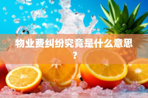 物业费纠纷究竟是什么意思？