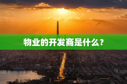 物业的开发商是什么？