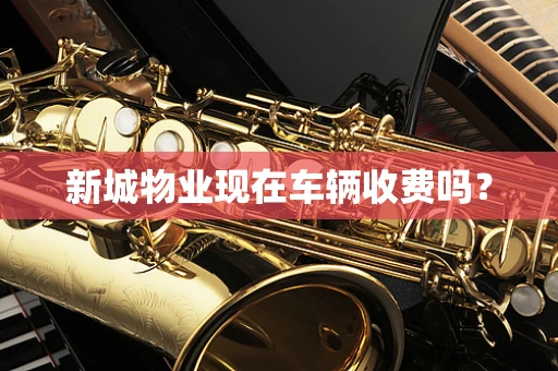 新城物业现在车辆收费吗？