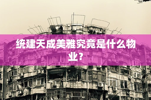 统建天成美雅究竟是什么物业？