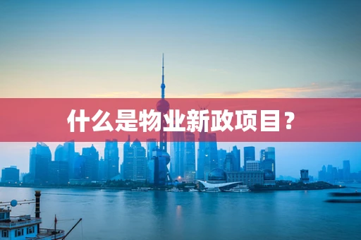 什么是物业新政项目？
