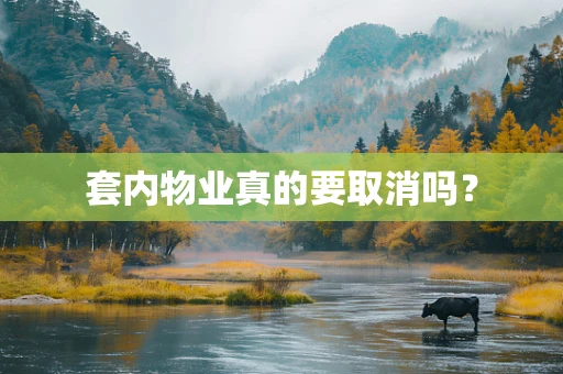 套内物业真的要取消吗？