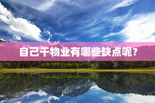 自己干物业有哪些缺点呢？