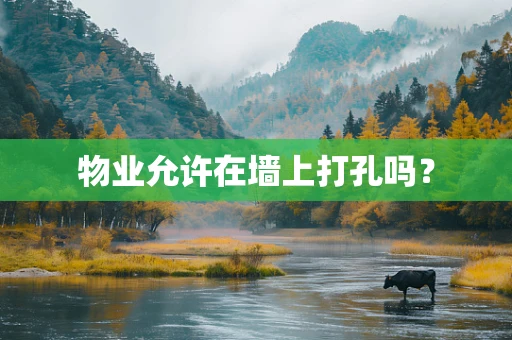 物业允许在墙上打孔吗？