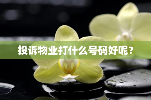 投诉物业打什么号码好呢？