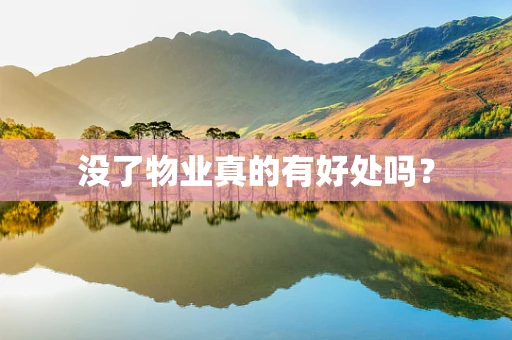 没了物业真的有好处吗？