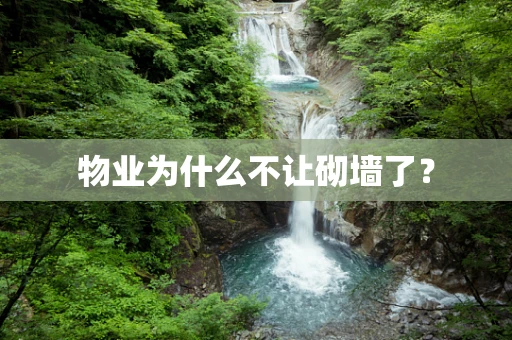 物业为什么不让砌墙了？