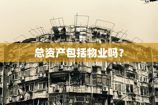 总资产包括物业吗？
