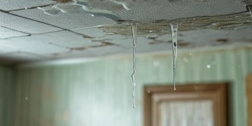 楼上漏水要给物业说吗？