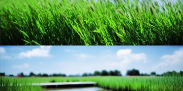 盘锦有招商物业吗？它在哪呢？