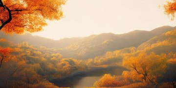 香山郡物业真的违法了吗？